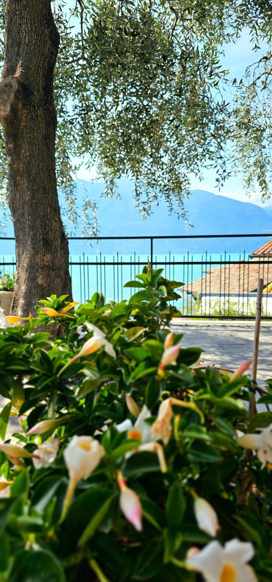 Apartament 59 Brenzone sul Garda Exteriör bild